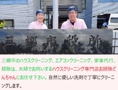埼玉県三郷市の三郷市役所