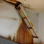 埼玉県三郷市の換気扇掃除前