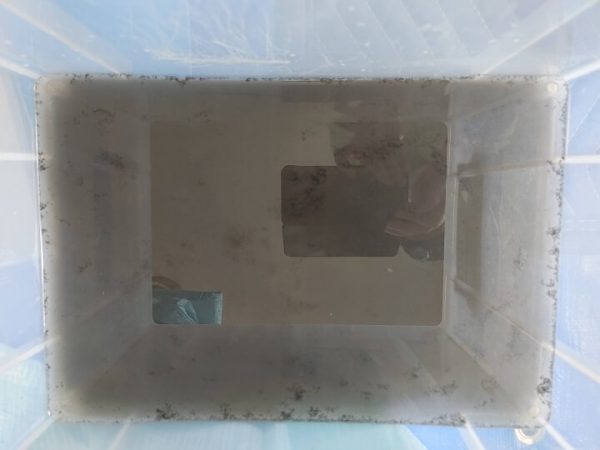 エアコンクリーング後の真っ黒な汚水