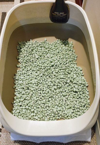 掃除代行、お掃除時一例、猫トイレ洗浄前【お掃除どんちゃん】