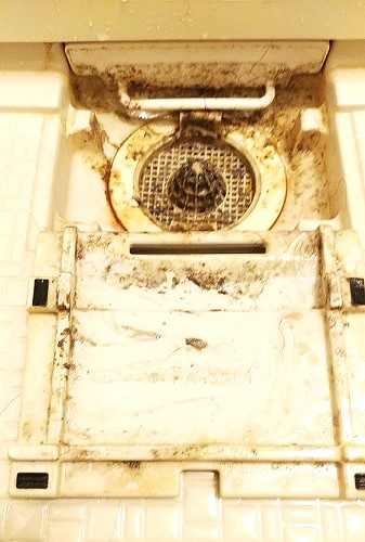 埼玉県さいたま市の浴室クリーニング、排水口の洗浄前【お掃除どんちゃん】
