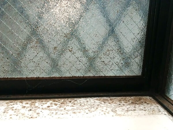 埼玉県草加市の窓クリーニング、窓のカビ除去前【お掃除どんちゃん】