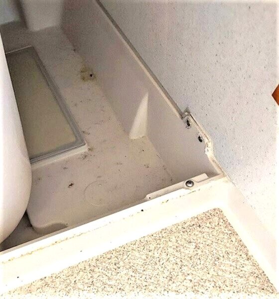 お風呂のエプロン内部洗浄、東京都北区の施工例(エプロン右側の内部)洗浄前【お掃除どんちゃん】